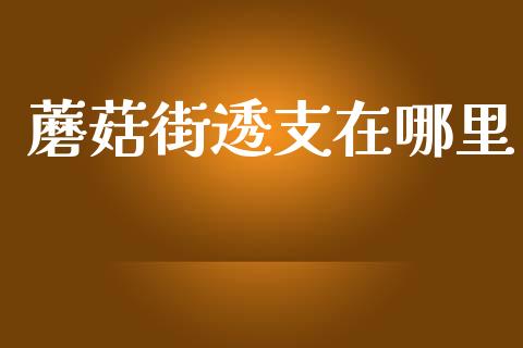 蘑菇街透支在哪里_https://wap.ycdhulan.com_货币市场_第1张