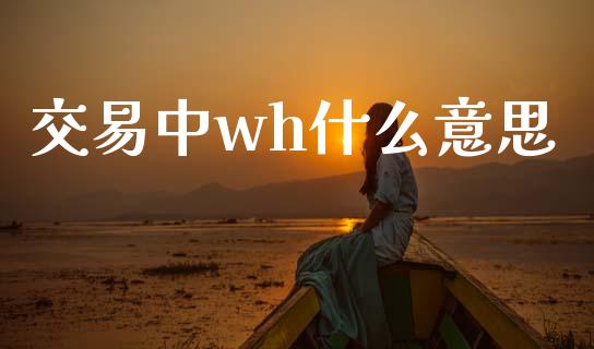 交易中wh什么意思_https://wap.ycdhulan.com_财经新闻_第1张