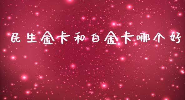 民生金卡和白金卡哪个好_https://wap.ycdhulan.com_金融咨询_第1张