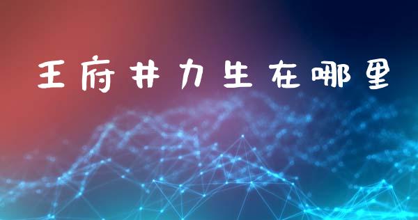 王府井力生在哪里_https://wap.ycdhulan.com_国际财经_第1张