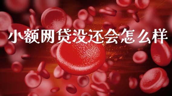 小额网贷没还会怎么样_https://wap.ycdhulan.com_财经新闻_第1张