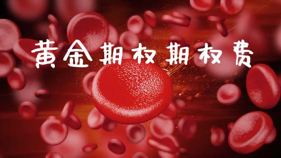 黄金期权期权费_https://wap.ycdhulan.com_投资基金_第1张