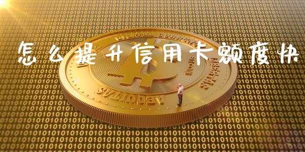 怎么提升信用卡额度快_https://wap.ycdhulan.com_财务投资_第1张