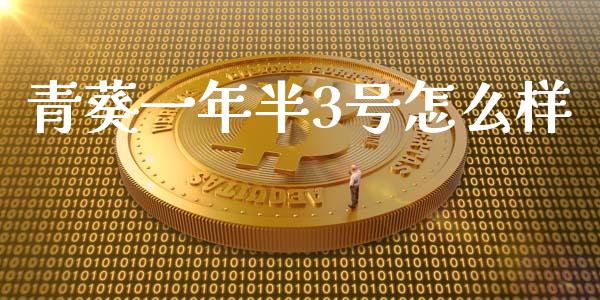 青葵一年半3号怎么样_https://wap.ycdhulan.com_投资基金_第1张