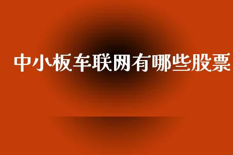 中小板车联网有哪些股票_https://wap.ycdhulan.com_金融咨询_第1张