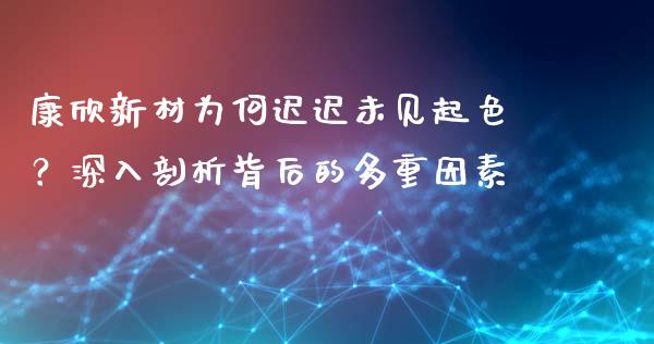 康欣新材为何迟迟未见起色？深入剖析背后的多重因素_https://wap.ycdhulan.com_财务投资_第1张