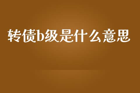 转债b级是什么意思_https://wap.ycdhulan.com_金融咨询_第1张