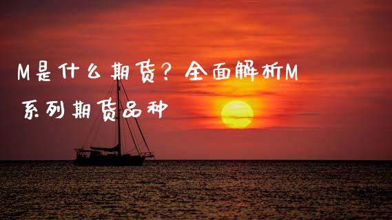 M是什么期货？全面解析M系列期货品种_https://wap.ycdhulan.com_财务投资_第1张
