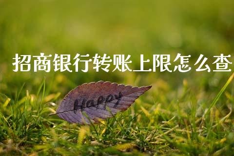 招商银行转账上限怎么查_https://wap.ycdhulan.com_财经新闻_第1张