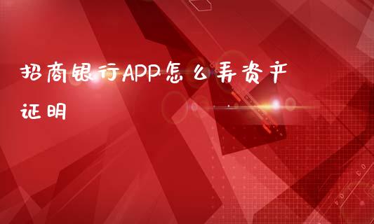 招商银行APP怎么弄资产证明_https://wap.ycdhulan.com_货币市场_第1张