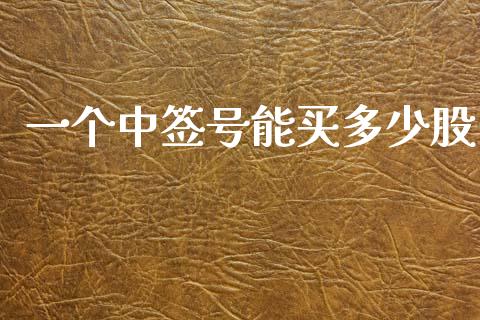 一个中签号能买多少股_https://wap.ycdhulan.com_财经新闻_第1张