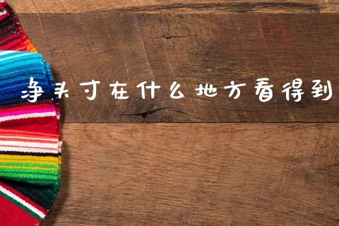 净头寸在什么地方看得到_https://wap.ycdhulan.com_金融咨询_第1张