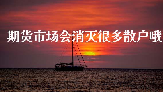 期货市场会消灭很多散户哦_https://wap.ycdhulan.com_国际财经_第1张