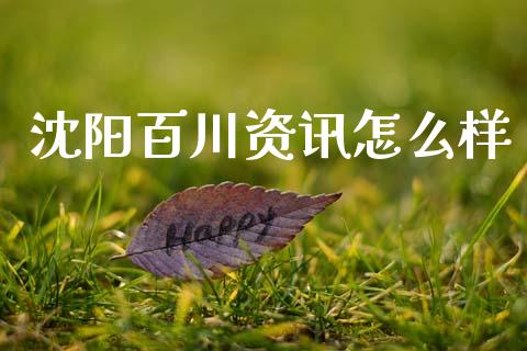 沈阳百川资讯怎么样_https://wap.ycdhulan.com_财经新闻_第1张