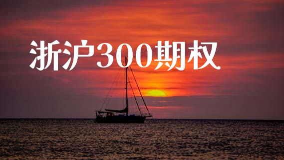 浙沪300期权_https://wap.ycdhulan.com_财务投资_第1张