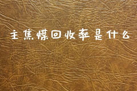 主焦煤回收率是什么_https://wap.ycdhulan.com_投资基金_第1张