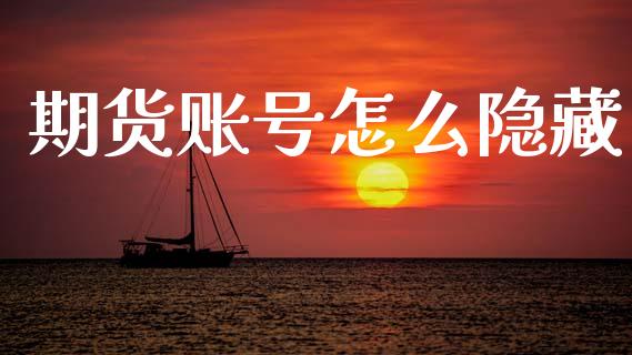 期货账号怎么隐藏_https://wap.ycdhulan.com_金融咨询_第1张