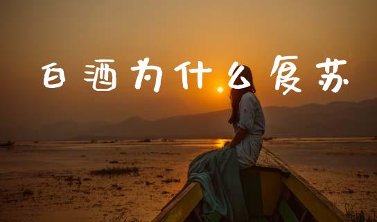 白酒为什么复苏_https://wap.ycdhulan.com_财务投资_第1张