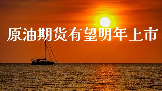 原油期货有望明年上市_https://wap.ycdhulan.com_财务投资_第1张