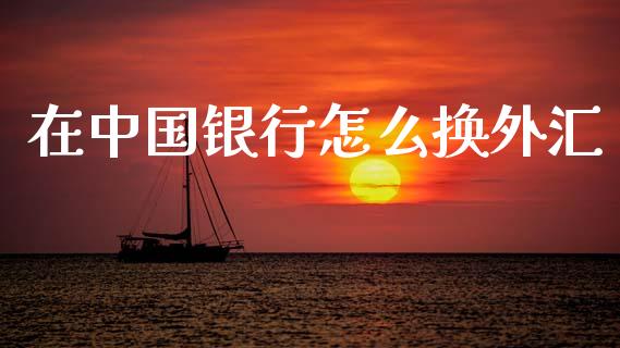 在中国银行怎么换外汇_https://wap.ycdhulan.com_财经新闻_第1张