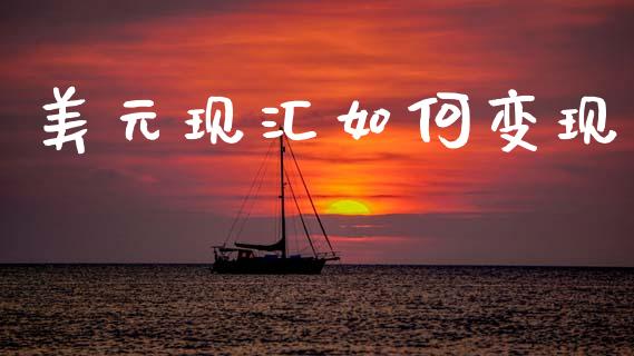 美元现汇如何变现_https://wap.ycdhulan.com_货币市场_第1张