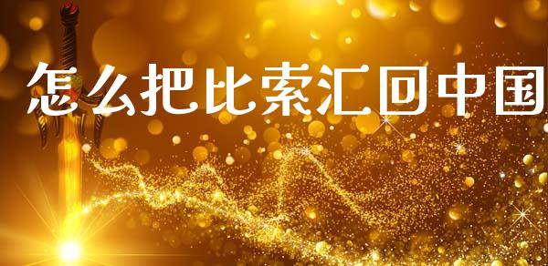 怎么把比索汇回中国_https://wap.ycdhulan.com_财务投资_第1张