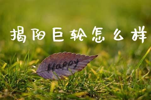 揭阳巨轮怎么样_https://wap.ycdhulan.com_财经新闻_第1张