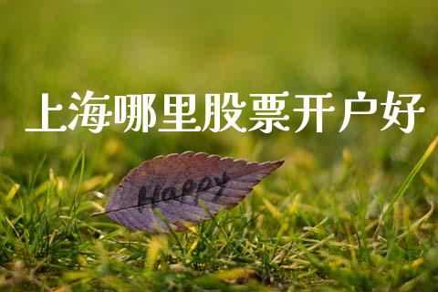 上海哪里股票开户好_https://wap.ycdhulan.com_投资基金_第1张