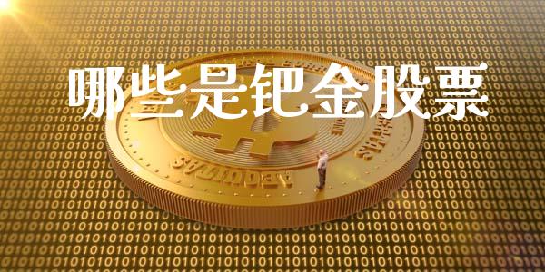 哪些是钯金股票_https://wap.ycdhulan.com_货币市场_第1张