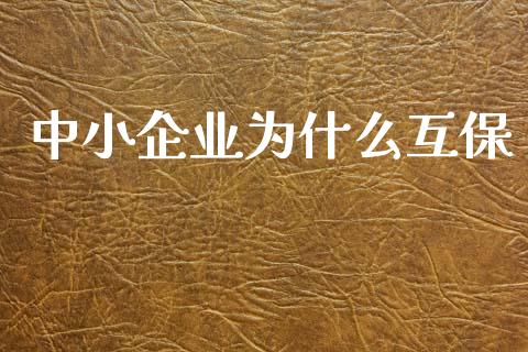 中小企业为什么互保_https://wap.ycdhulan.com_国际财经_第1张