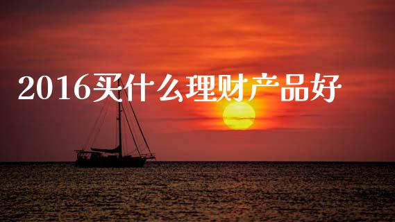 2016买什么理财产品好_https://wap.ycdhulan.com_财经新闻_第1张