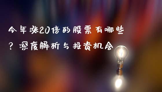 今年涨20倍的股票有哪些？深度解析与投资机会_https://wap.ycdhulan.com_金融咨询_第1张