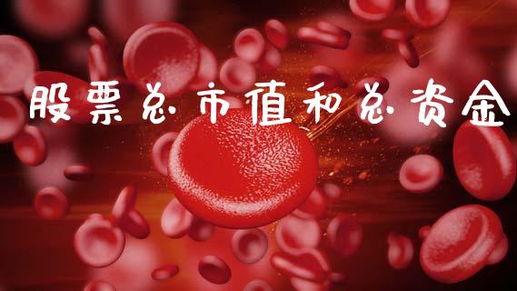 股票总市值和总资金_https://wap.ycdhulan.com_金融咨询_第1张
