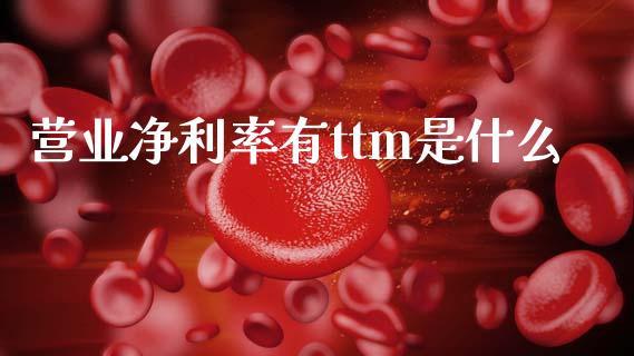 营业净利率有ttm是什么_https://wap.ycdhulan.com_国际财经_第1张