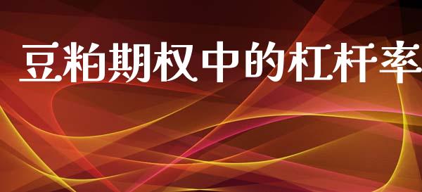 豆粕期权中的杠杆率_https://wap.ycdhulan.com_财务投资_第1张