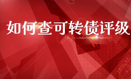 如何查可转债评级_https://wap.ycdhulan.com_投资基金_第1张