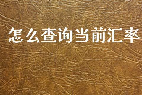 怎么查询当前汇率_https://wap.ycdhulan.com_财务投资_第1张