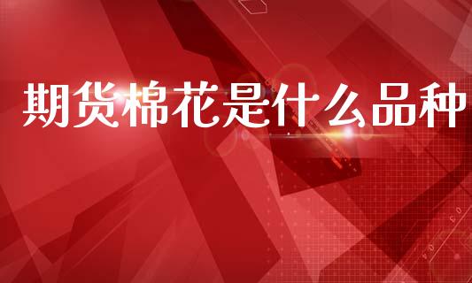 期货棉花是什么品种_https://wap.ycdhulan.com_投资基金_第1张