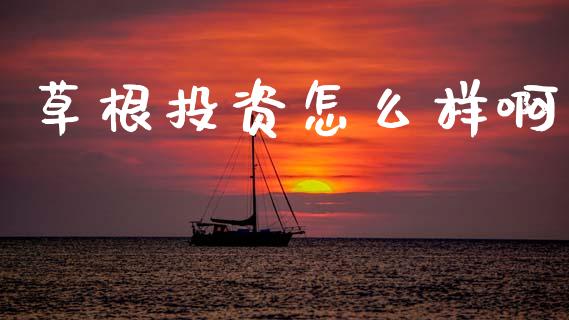 草根投资怎么样啊_https://wap.ycdhulan.com_财经新闻_第1张