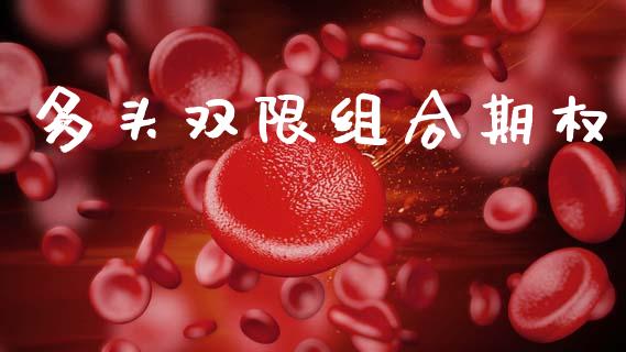 多头双限组合期权_https://wap.ycdhulan.com_金融咨询_第1张