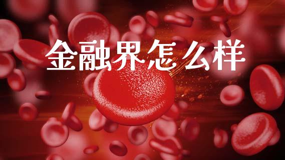 金融界怎么样_https://wap.ycdhulan.com_投资基金_第1张