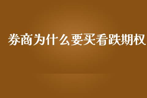 券商为什么要买看跌期权_https://wap.ycdhulan.com_货币市场_第1张