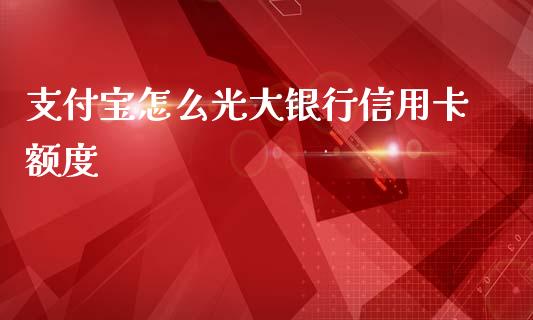 支付宝怎么光大银行信用卡额度_https://wap.ycdhulan.com_金融咨询_第1张