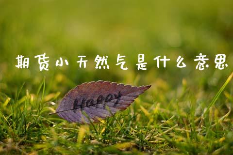 期货小天然气是什么意思_https://wap.ycdhulan.com_金融咨询_第1张