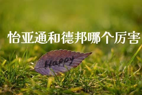怡亚通和德邦哪个厉害_https://wap.ycdhulan.com_货币市场_第1张