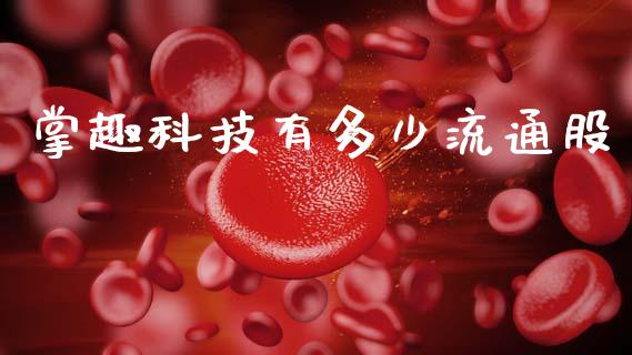 掌趣科技有多少流通股_https://wap.ycdhulan.com_金融咨询_第1张