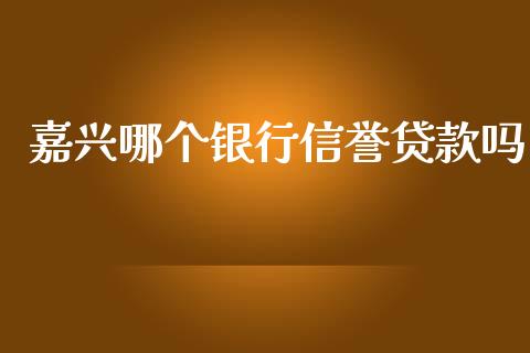 嘉兴哪个银行信誉贷款吗_https://wap.ycdhulan.com_投资基金_第1张