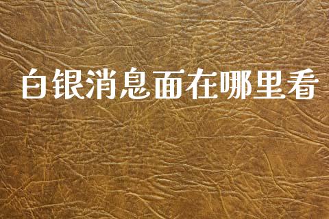 白银消息面在哪里看_https://wap.ycdhulan.com_投资基金_第1张