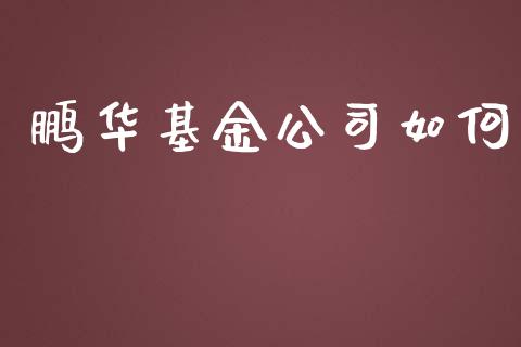 鹏华基金公司如何_https://wap.ycdhulan.com_金融咨询_第1张