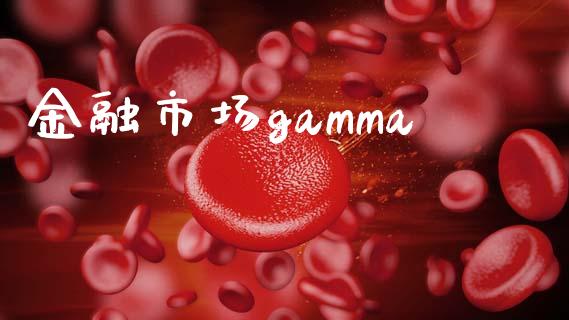 金融市场gamma_https://wap.ycdhulan.com_货币市场_第1张
